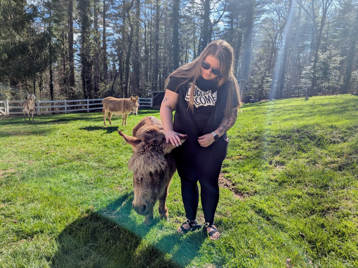 A Triumph of&nbsp;Jennies